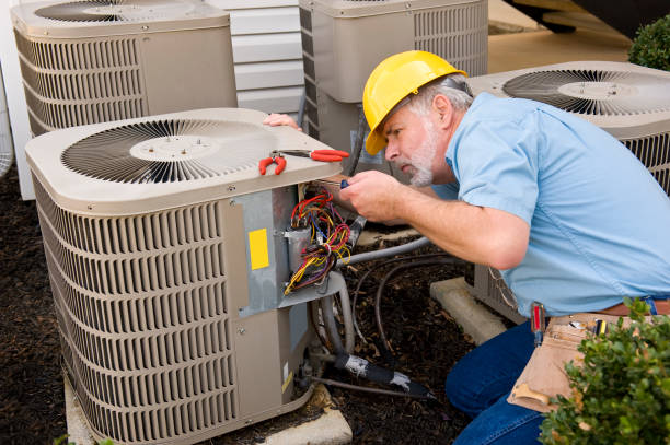 Best HVAC Air Duct Cleaning  in Lexington, MI